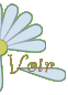 voir